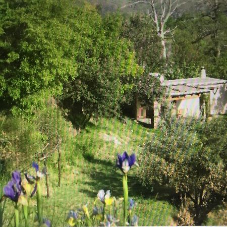 Cortijo La Vinuela Βίλα Atalbeitar Εξωτερικό φωτογραφία