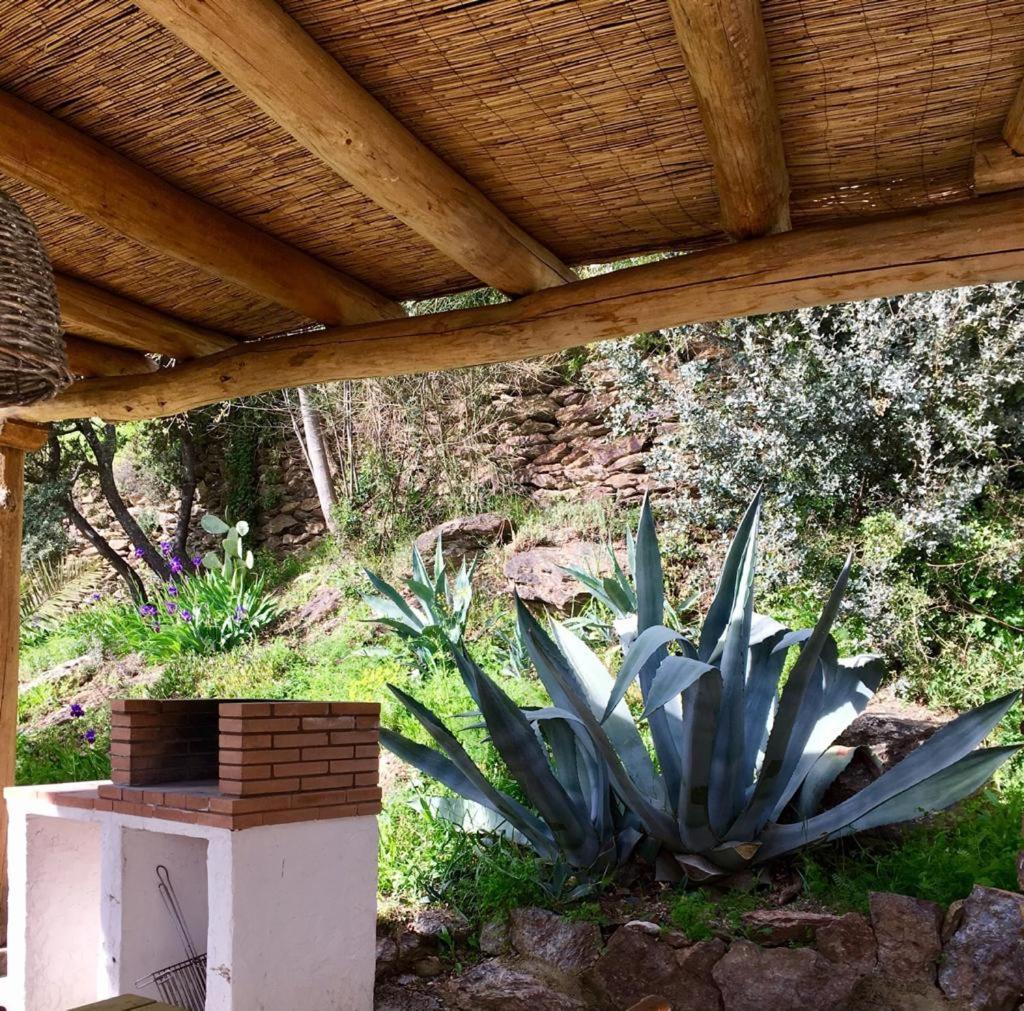 Cortijo La Vinuela Βίλα Atalbeitar Εξωτερικό φωτογραφία