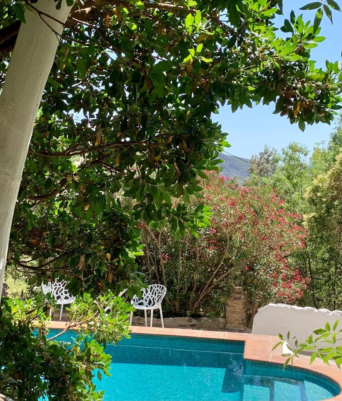 Cortijo La Vinuela Βίλα Atalbeitar Εξωτερικό φωτογραφία