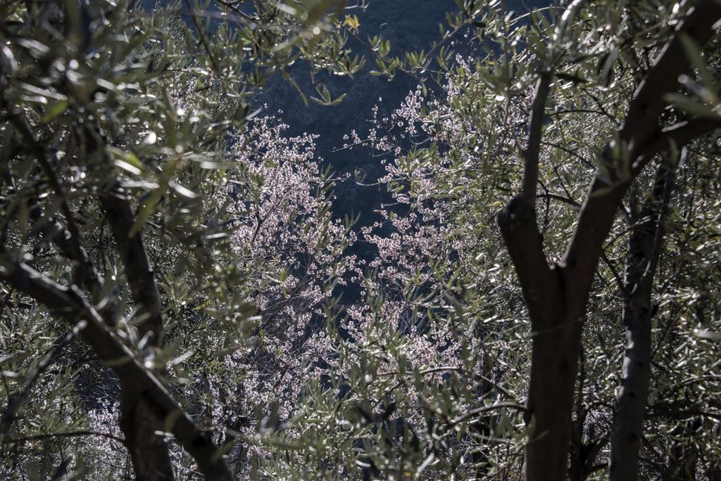 Cortijo La Vinuela Βίλα Atalbeitar Εξωτερικό φωτογραφία